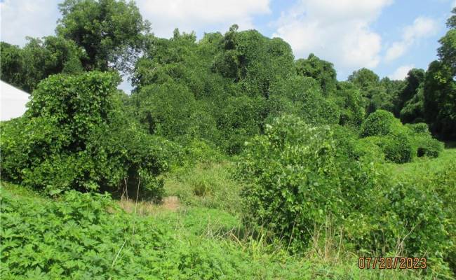 134 Mahan Street, Suffolk, VA 23434