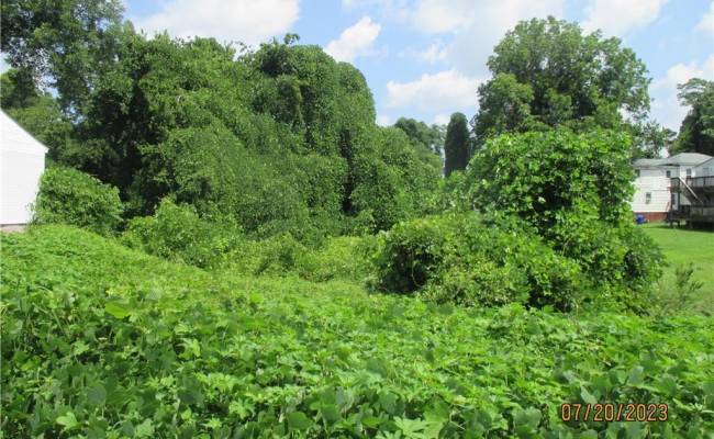 134 Mahan Street, Suffolk, VA 23434