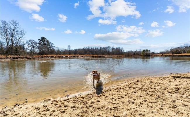 28094 Clarksbury Road, Southampton County, VA 23827