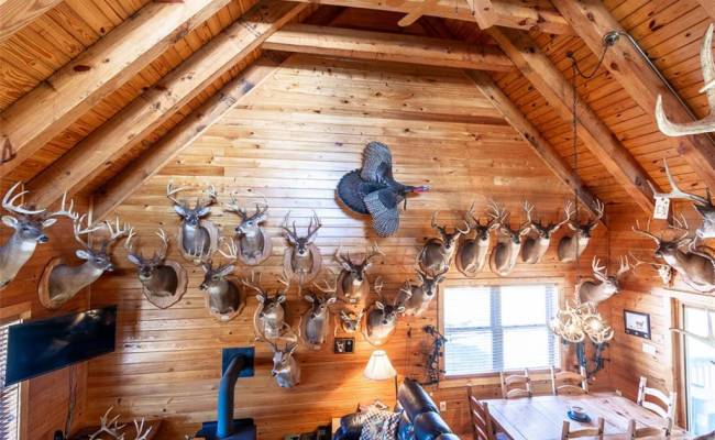 28094 Clarksbury Road, Southampton County, VA 23827