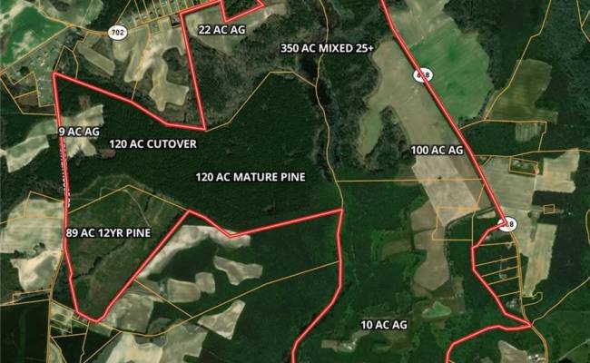 28094 Clarksbury Road, Southampton County, VA 23827