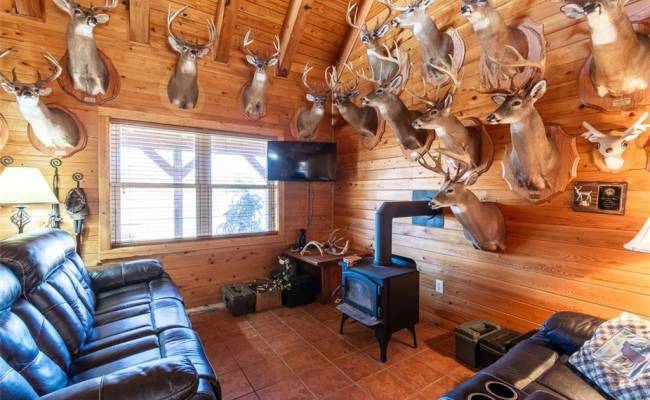 28094 Clarksbury Road, Southampton County, VA 23827