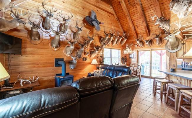 28094 Clarksbury Road, Southampton County, VA 23827