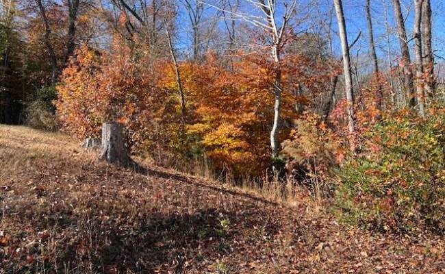 451 Eastwood Drive, Newport News, VA 23602