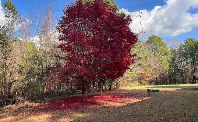 1030 Johnson Road, Brunswick County, VA 23847