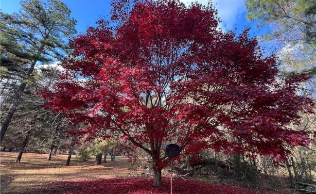 1030 Johnson Road, Brunswick County, VA 23847