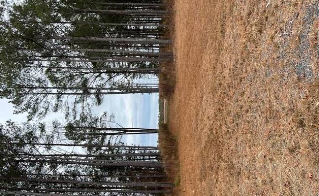 5 ac Ivor Road, Southampton County, VA 23866