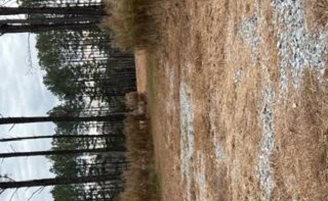 5 ac Ivor Road, Southampton County, VA 23866