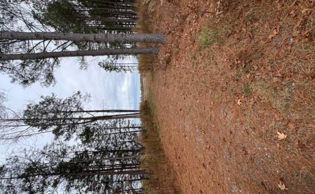 5 ac Ivor Road, Southampton County, VA 23866