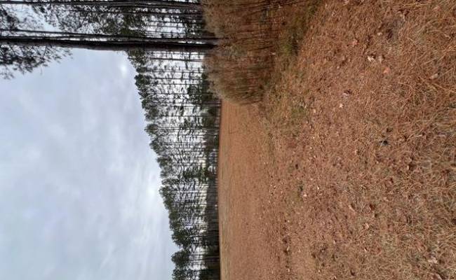 5 ac Ivor Road, Southampton County, VA 23866