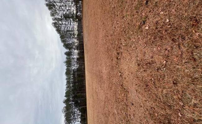 5 ac Ivor Road, Southampton County, VA 23866