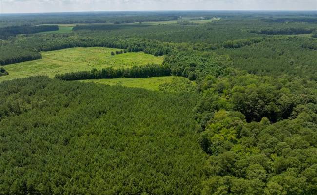 104 AC St Lukes Road, Southampton County, VA 23878