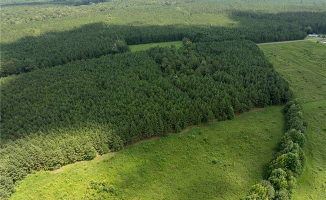 104 AC St Lukes Road, Southampton County, VA 23878