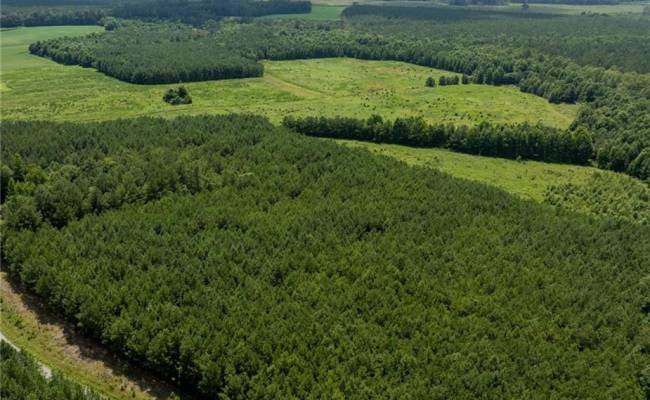 104 AC St Lukes Road, Southampton County, VA 23878