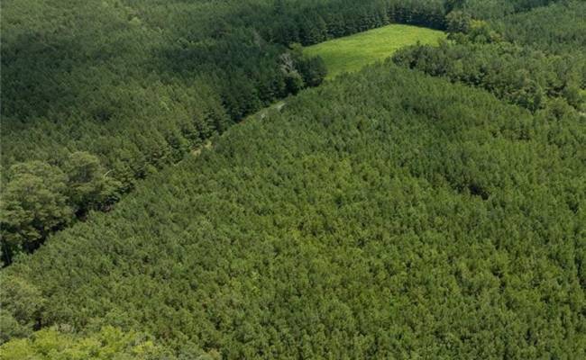 104 AC St Lukes Road, Southampton County, VA 23878