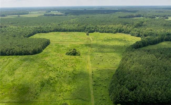 104 AC St Lukes Road, Southampton County, VA 23878