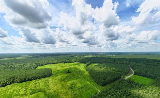 104 AC St Lukes Road, Southampton County, VA 23878