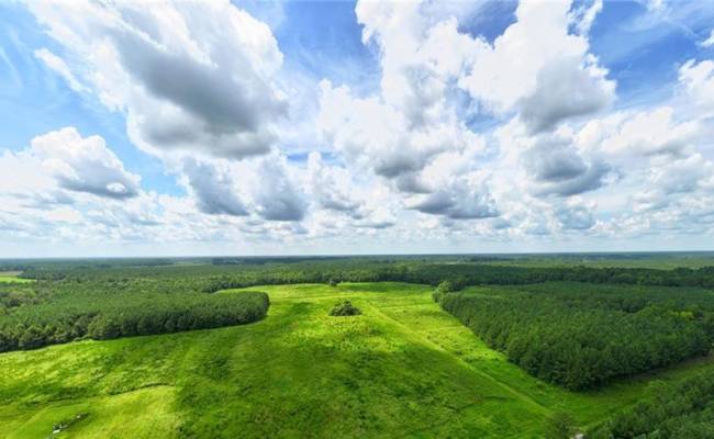 104 AC St Lukes Road, Southampton County, VA 23878