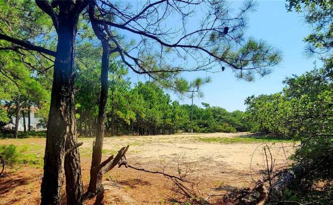 2356 Carova Road, Currituck County, NC 27927