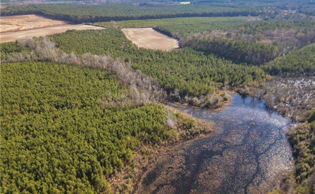 124 AC CRUMPLER Road, Southampton County, VA 23866