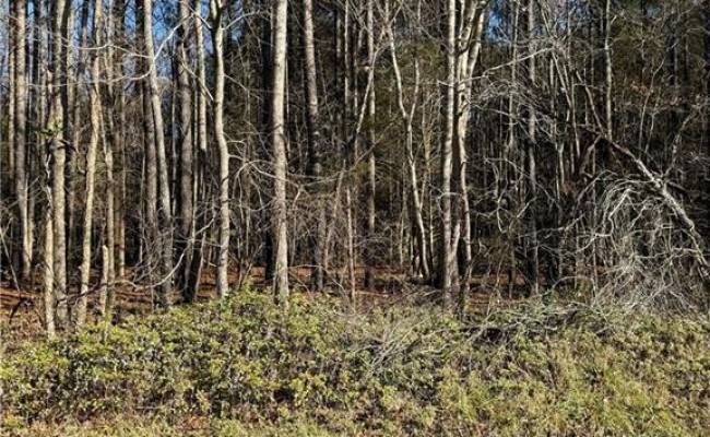 .95AC Cowpen Neck Road, Gloucester County, VA 23061