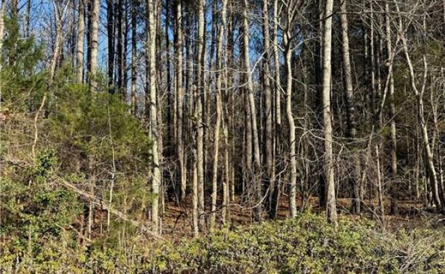 .95AC Cowpen Neck Road, Gloucester County, VA 23061
