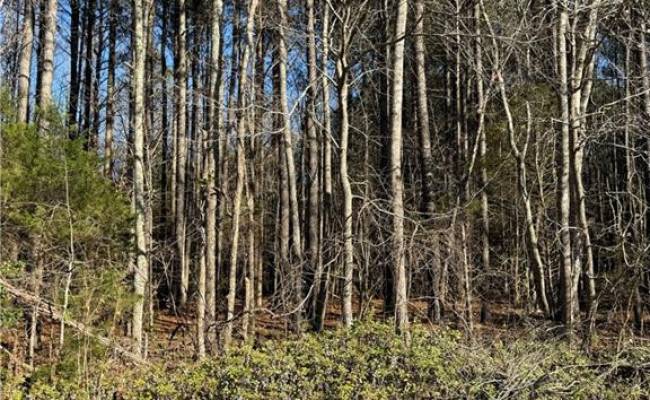 .95AC Cowpen Neck Road, Gloucester County, VA 23061