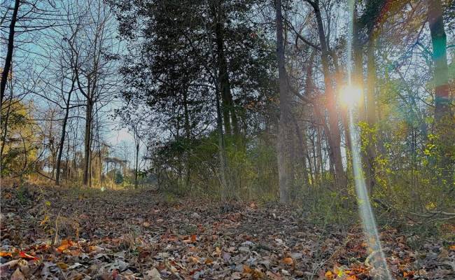 2 Ac Maple Avenue, Southampton County, VA 23878