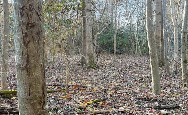 2 Ac Maple Avenue, Southampton County, VA 23878