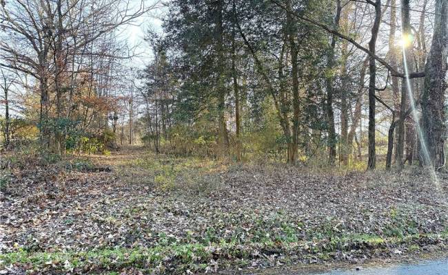 2 Ac Maple Avenue, Southampton County, VA 23878