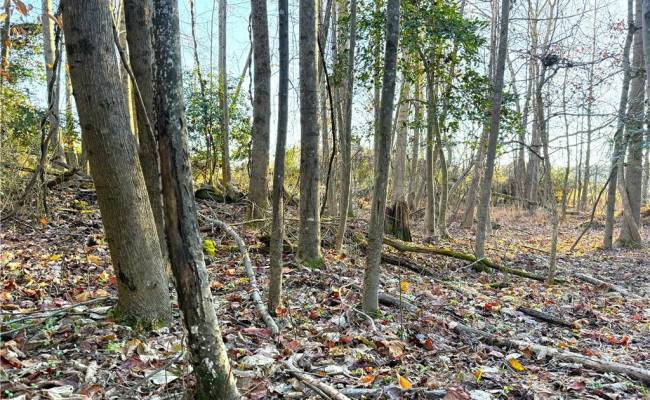 2 Ac Maple Avenue, Southampton County, VA 23878