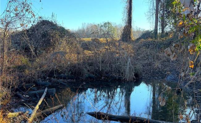 2 Ac Maple Avenue, Southampton County, VA 23878