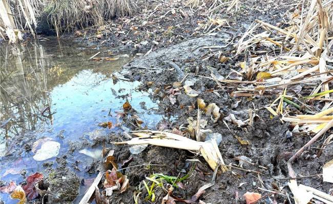 2 Ac Maple Avenue, Southampton County, VA 23878