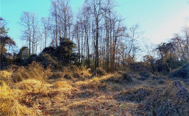 2 Ac Maple Avenue, Southampton County, VA 23878