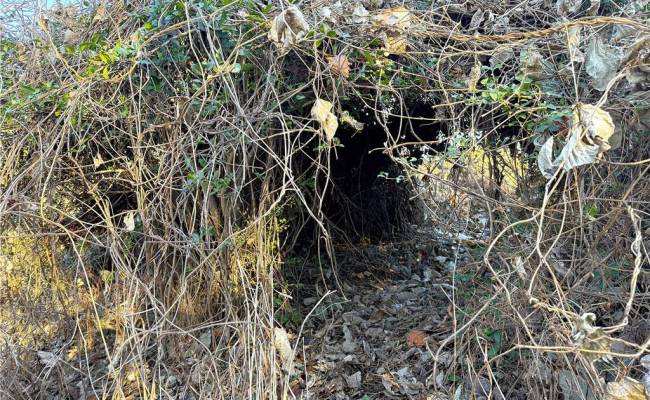 2 Ac Maple Avenue, Southampton County, VA 23878