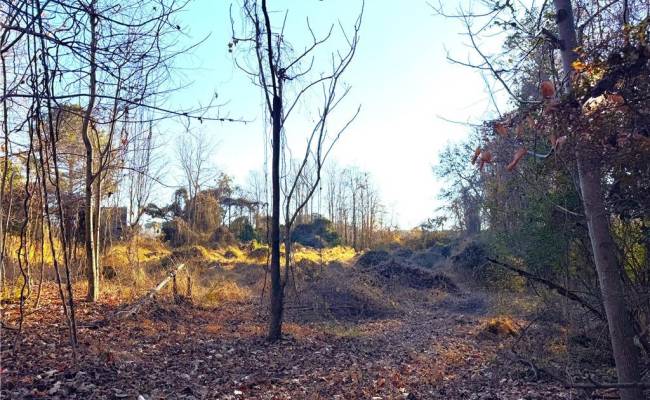 2 Ac Maple Avenue, Southampton County, VA 23878