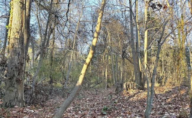 2 Ac Maple Avenue, Southampton County, VA 23878