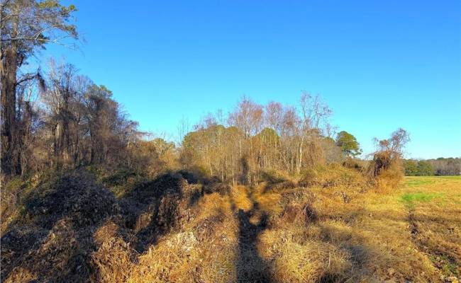 2 Ac Maple Avenue, Southampton County, VA 23878