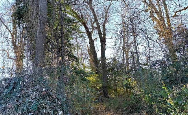 2 Ac Maple Avenue, Southampton County, VA 23878