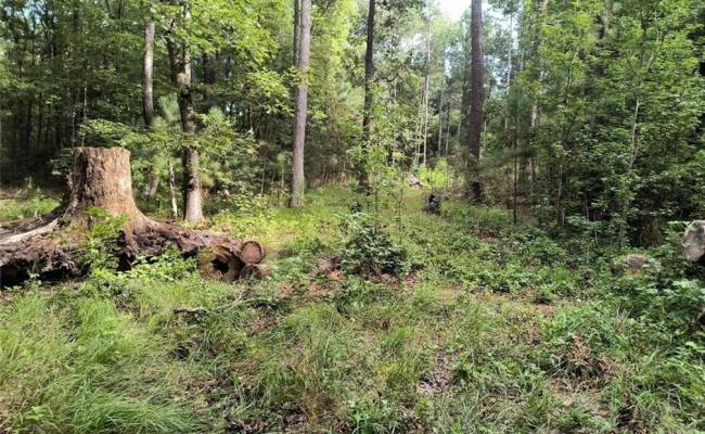 1.4+AC Ernest Lane, Gloucester County, VA 23072