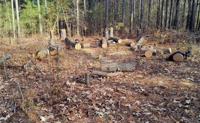 1.4+AC Ernest Lane, Gloucester County, VA 23072