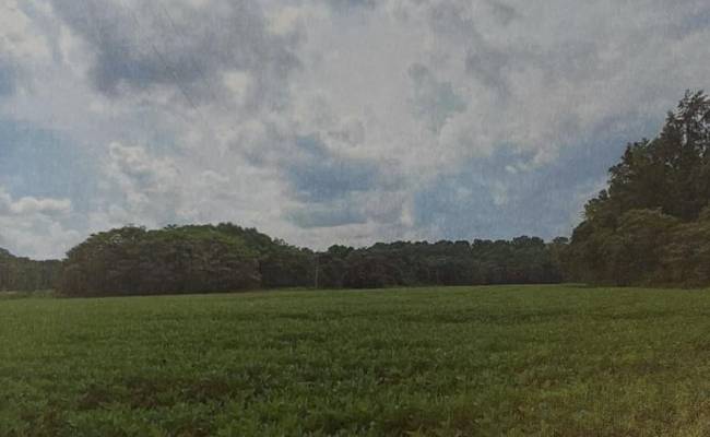 28.5ac Waterview Road, Middlesex County, VA 23180