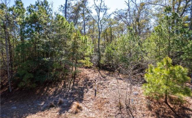 164 Shingle Landing Lane, Dare County, NC 27948