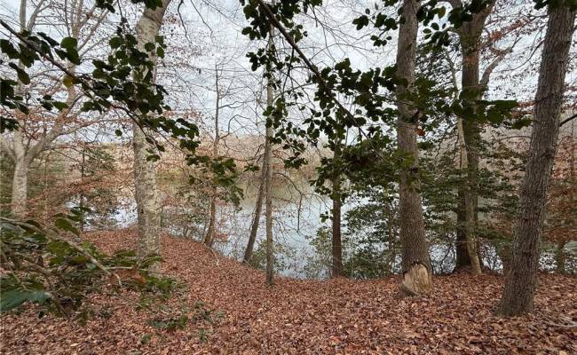 5.46AC Haynes Pond Way, Gloucester County, VA 23061
