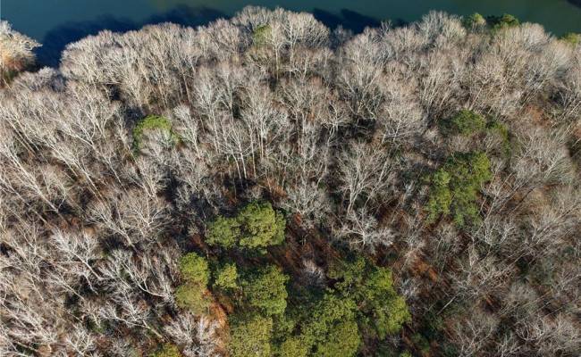 5.46AC Haynes Pond Way, Gloucester County, VA 23061