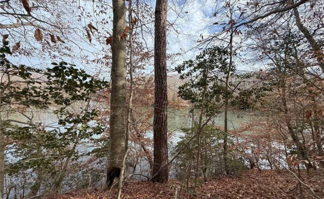 5.46AC Haynes Pond Way, Gloucester County, VA 23061