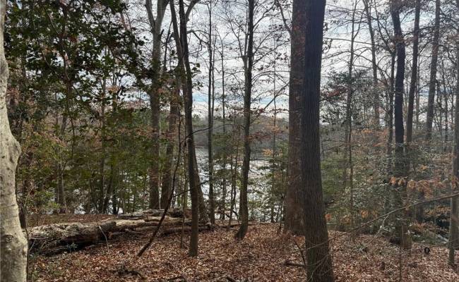 5.46AC Haynes Pond Way, Gloucester County, VA 23061
