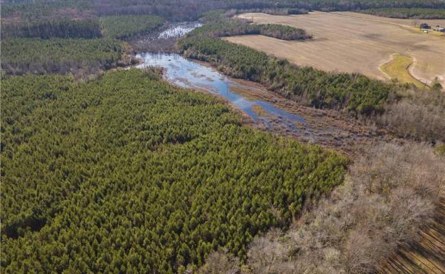 134+AC CRUMPLER Road, Southampton County, VA 23866