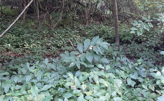 200 Campbell Lane, Newport News, VA 23602