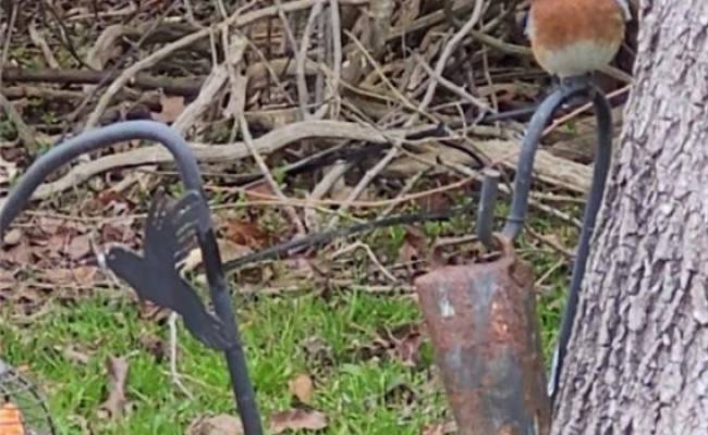 9378 Robins Neck Road, Gloucester County, VA 23061